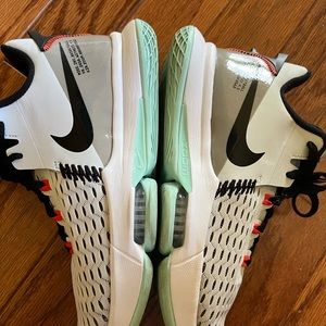 Nike Lebron Witness 5 Pure Platinum Light Dew.